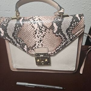 Aldo Ceossbody bag.